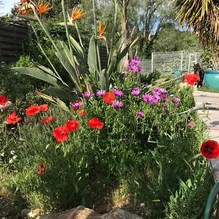 La Passiflore Bed & Breakfast La Londe-les-Maures